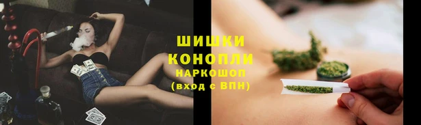 прущие крисы Верхний Тагил