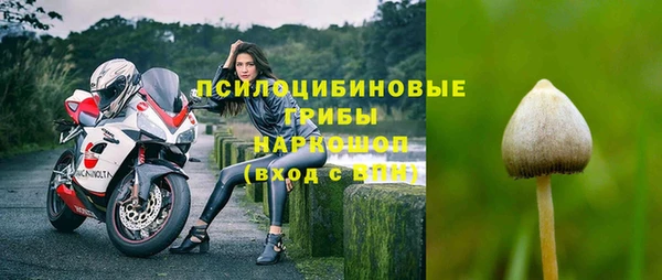 молекула духа Володарск