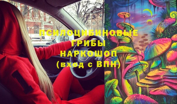 прущие крисы Верхний Тагил