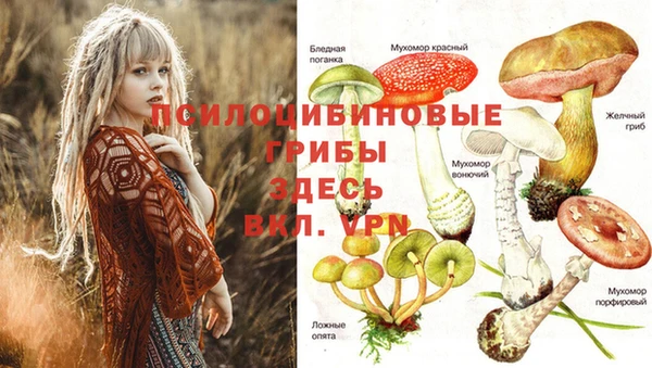 мдпв Верхнеуральск