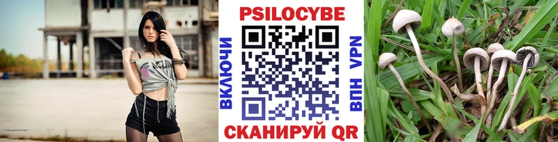 Псилоцибиновые грибы мухоморы  Жигулёвск 